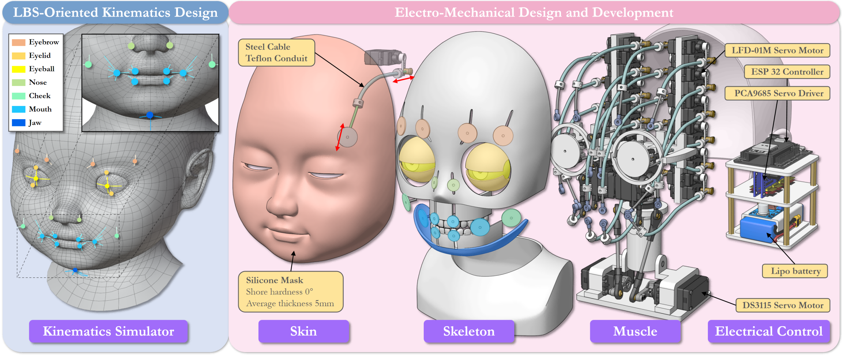 skinning_oriented_robot_development